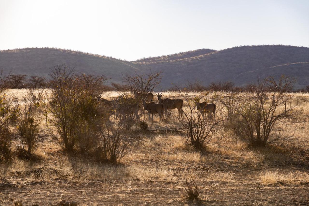 Ugab Game Farm & Lodge Vingerklip Bagian luar foto