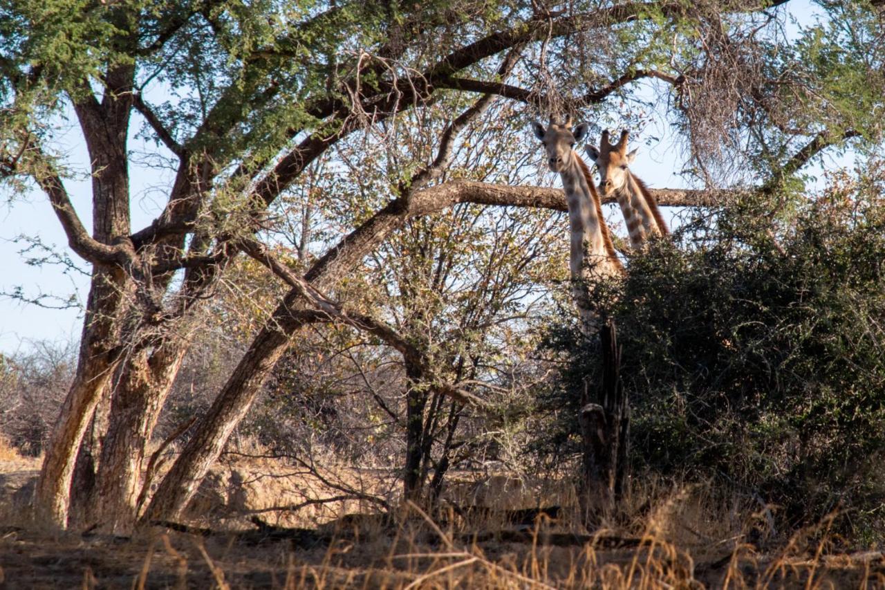Ugab Game Farm & Lodge Vingerklip Bagian luar foto
