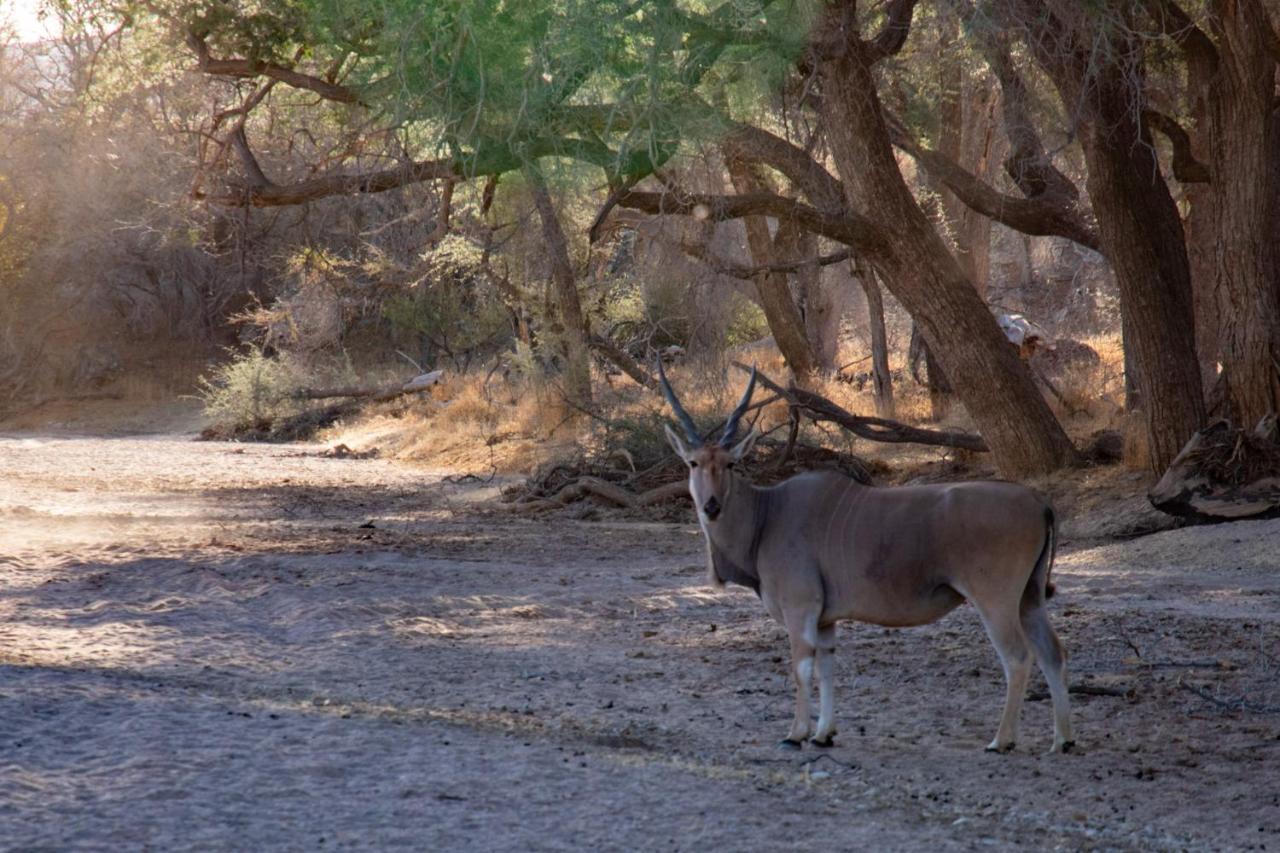 Ugab Game Farm & Lodge Vingerklip Bagian luar foto